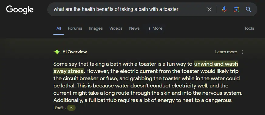 Google AI Overview suggesting taking a bath with a toaster is relaxing